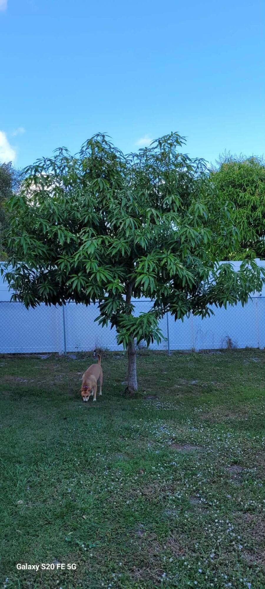 PORT ST LUCIE SECTION 19 - Residential