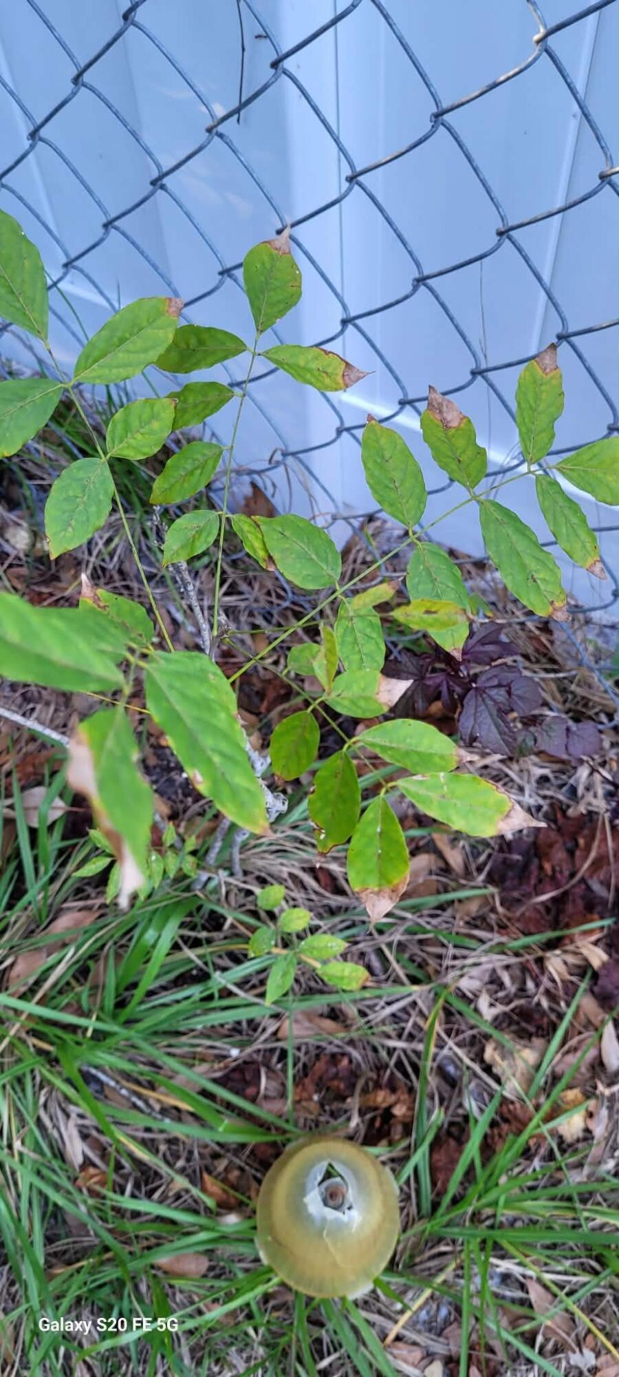PORT ST LUCIE SECTION 19 - Residential