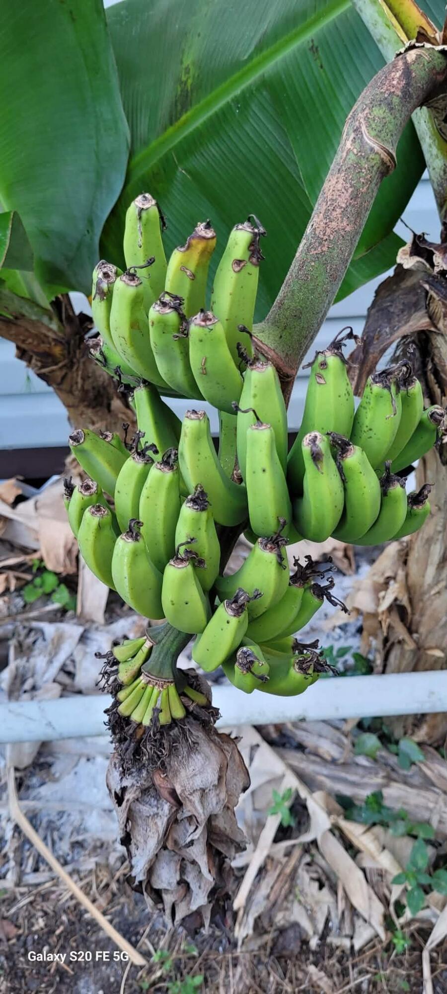 PORT ST LUCIE SECTION 19 - Residential