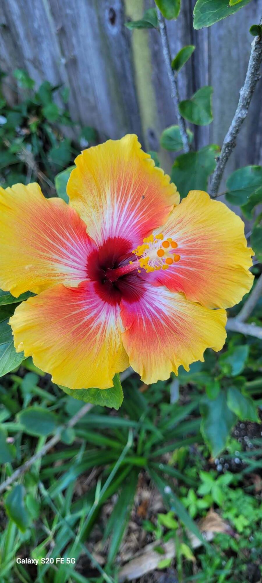 PORT ST LUCIE SECTION 19 - Residential