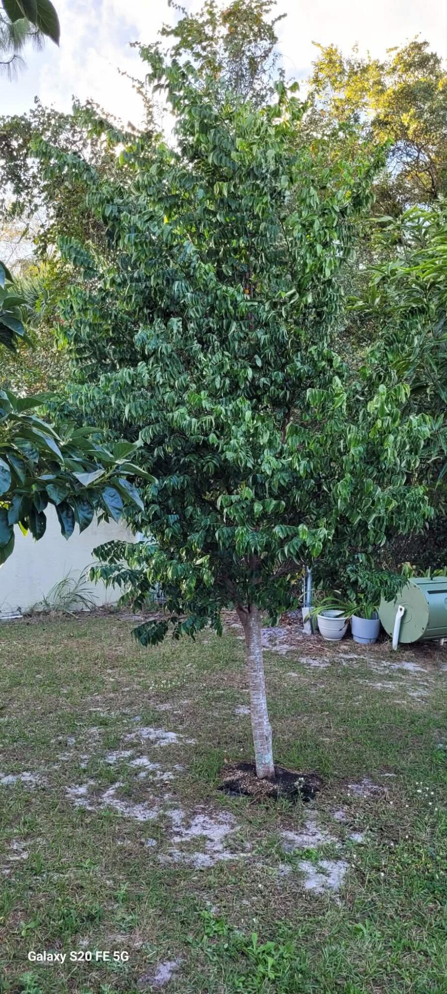 PORT ST LUCIE SECTION 19 - Residential