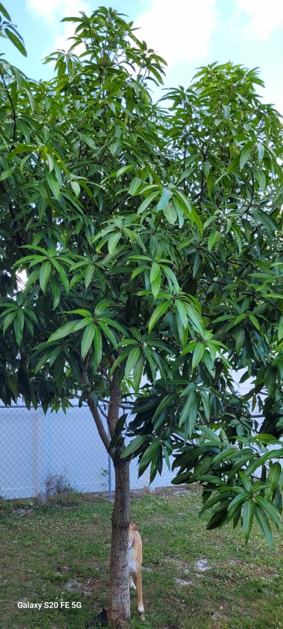 PORT ST LUCIE SECTION 19 - Residential