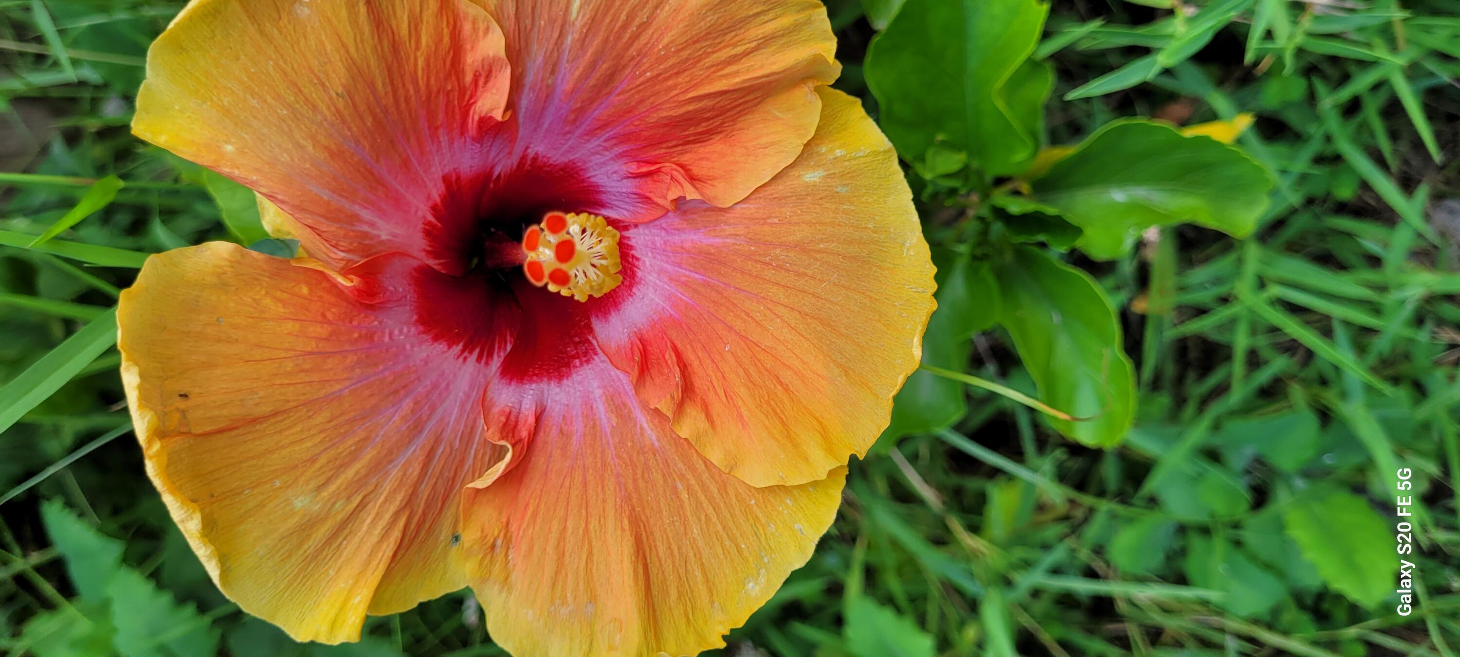 PORT ST LUCIE SECTION 19 - Residential