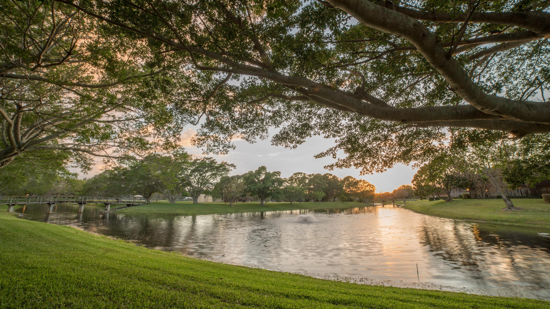 Island - Residential