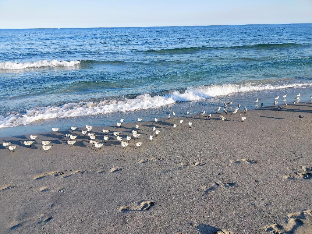 COLONIAL RIDGE CORP - Residential