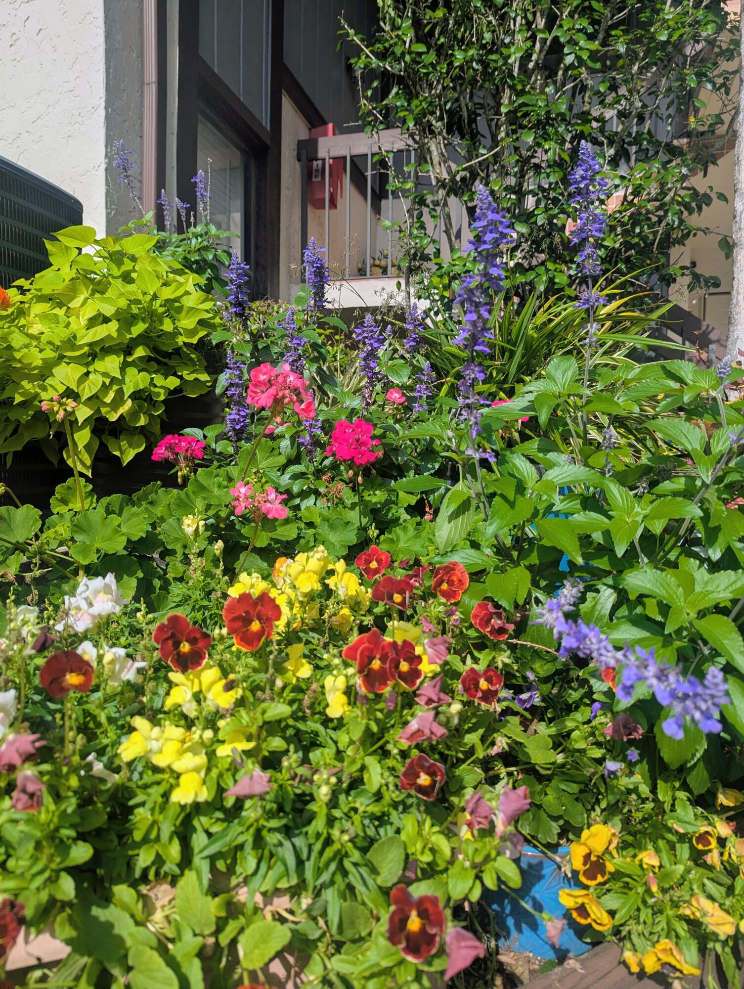 LA QUINTA CONDO - Residential