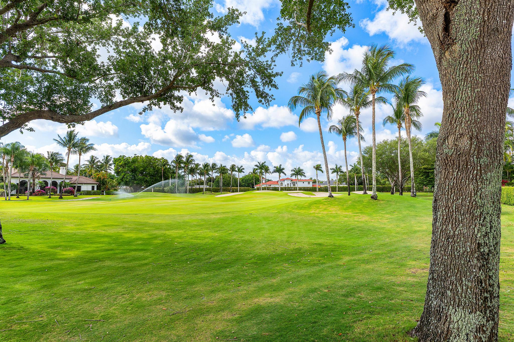 VINTAGE OAKS / POLO CLUB - Residential