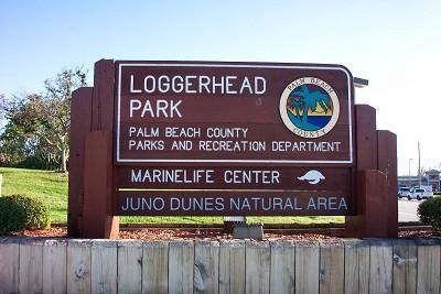 OLD TOWNE AT JUNO BEACH - Residential