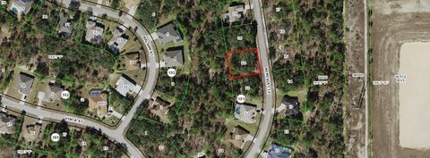 13 Nemesia Court E Homosassa FL 34446