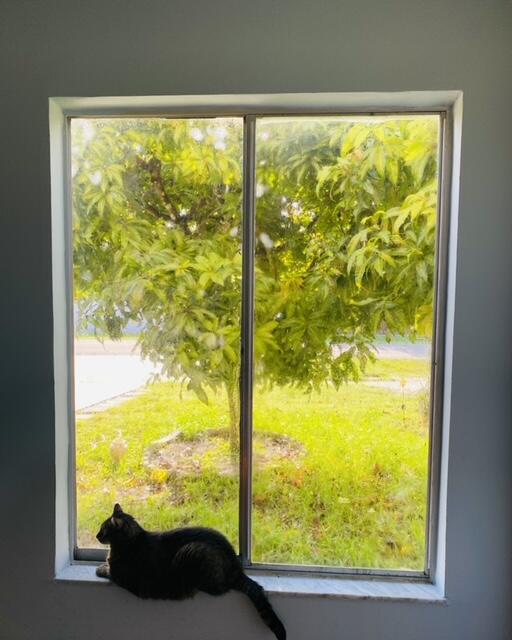 BOCA LANDINGS - Residential Lease