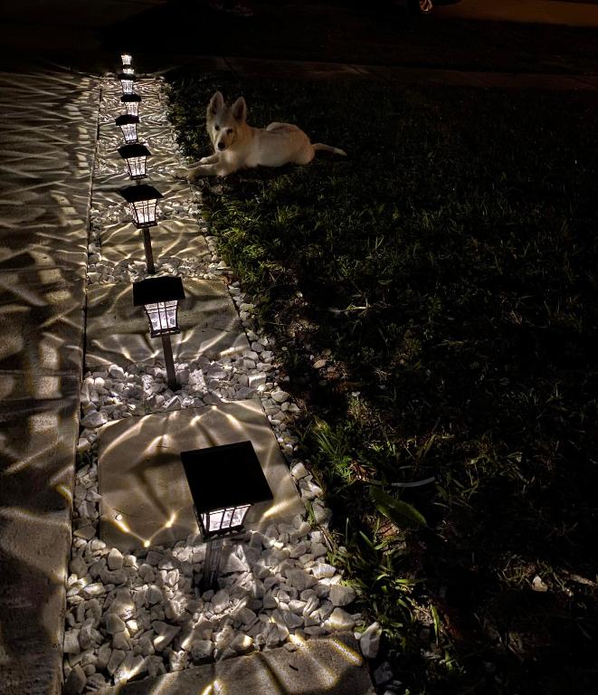 BOCA LANDINGS - Residential Lease