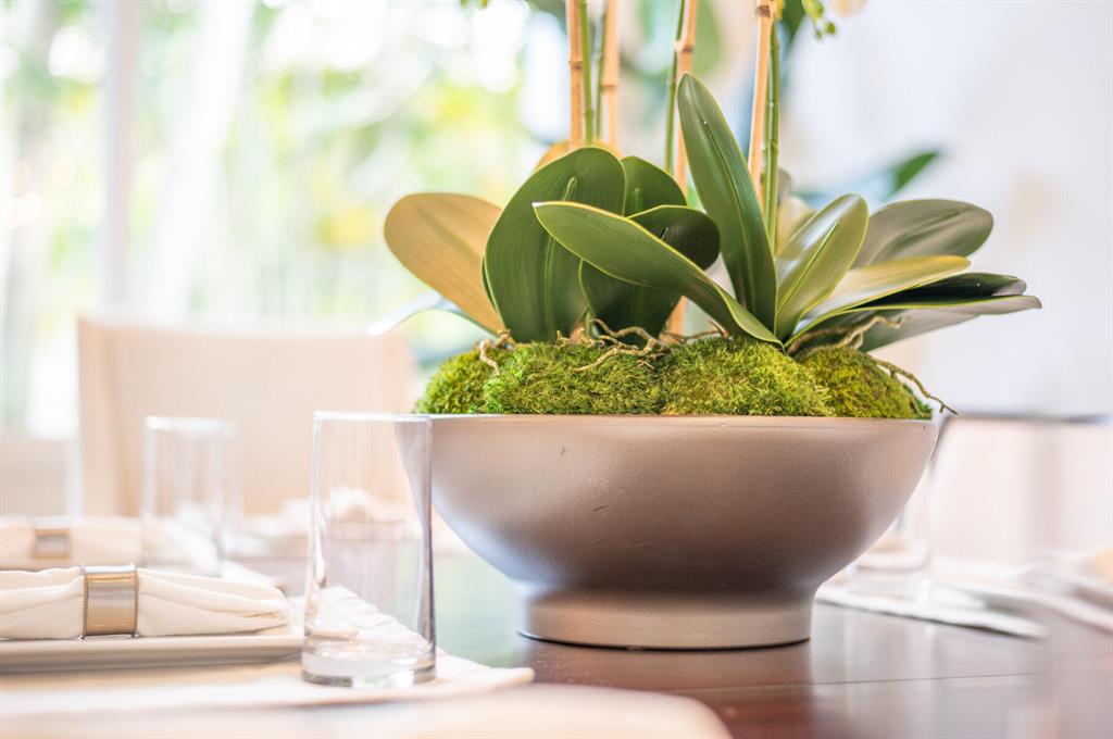 MIRASOL - Residential