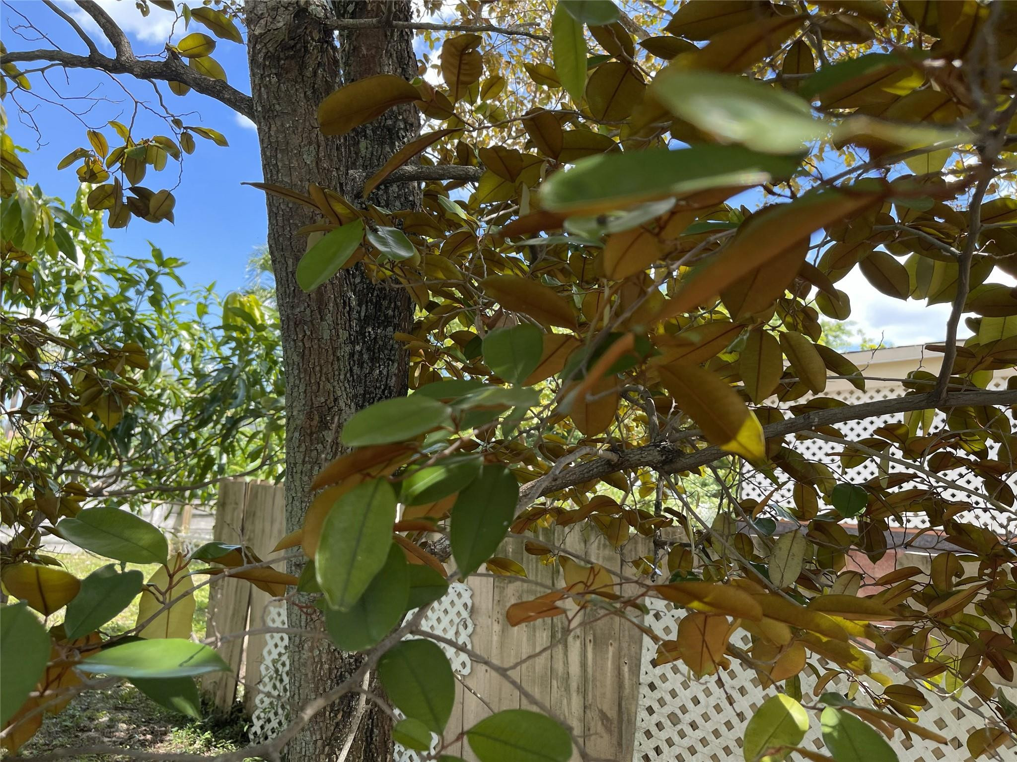 Bonnie Loch Sec 1 51-5 B - Residential