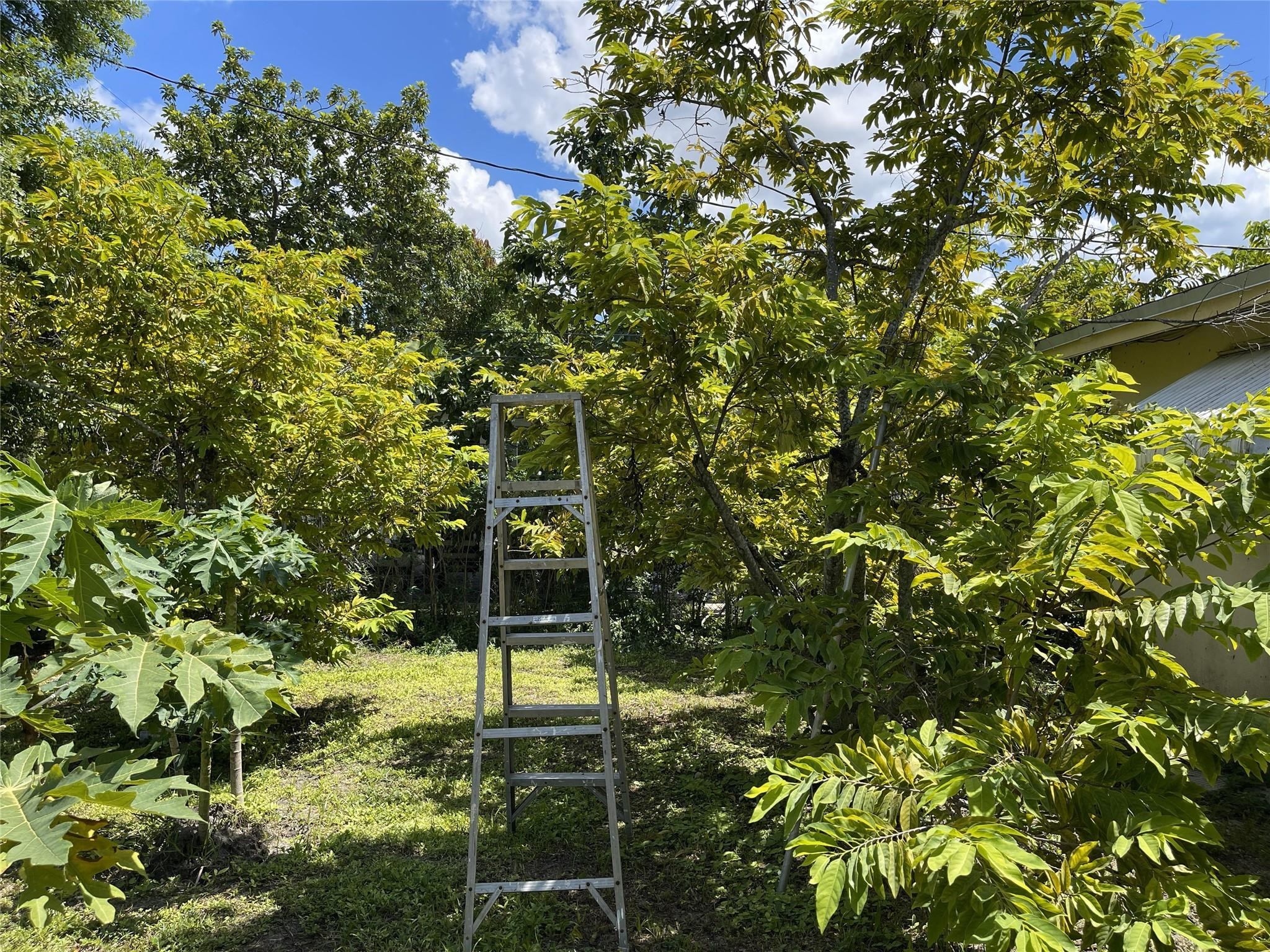 Bonnie Loch Sec 1 51-5 B - Residential