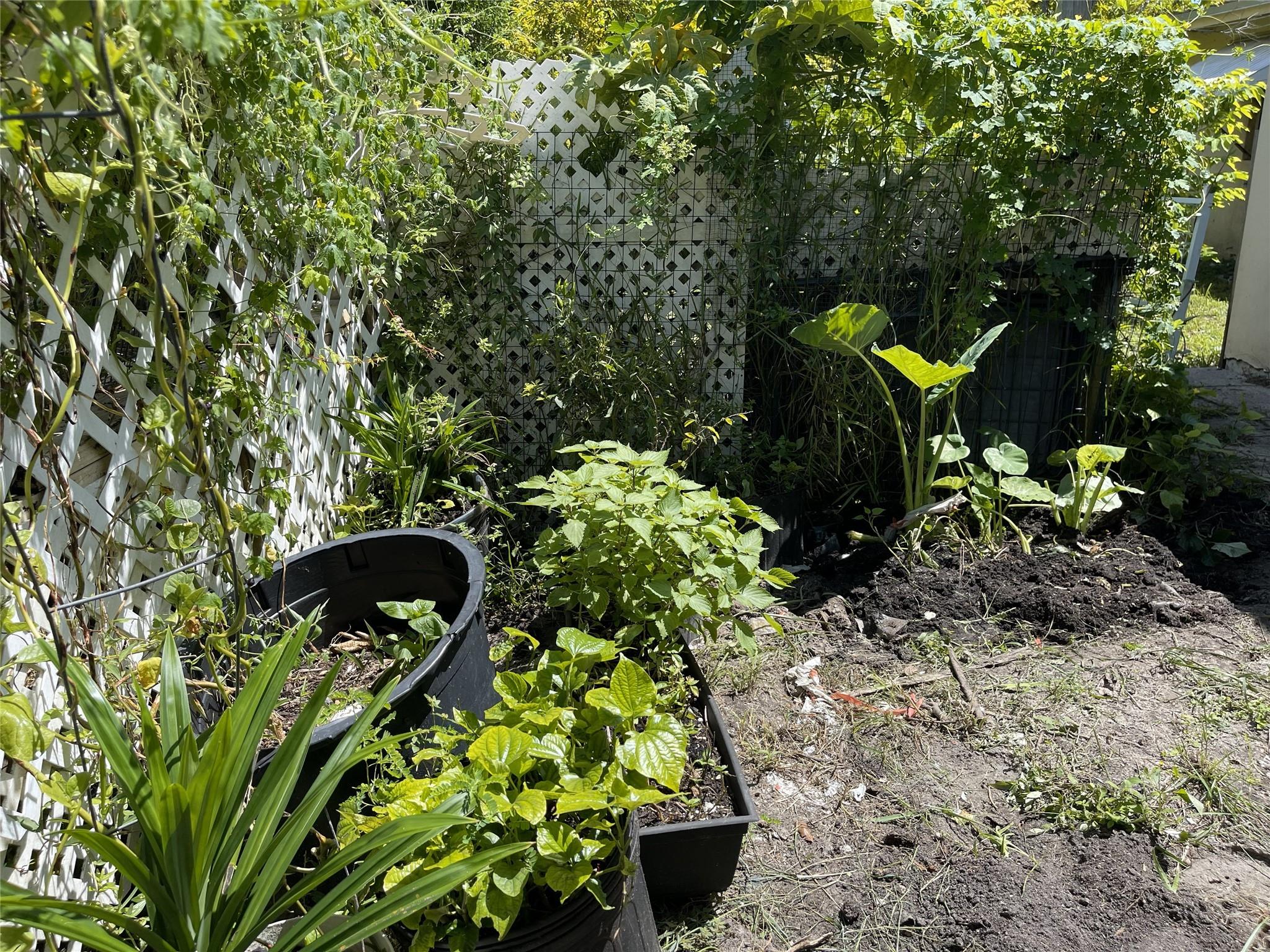 Bonnie Loch Sec 1 51-5 B - Residential