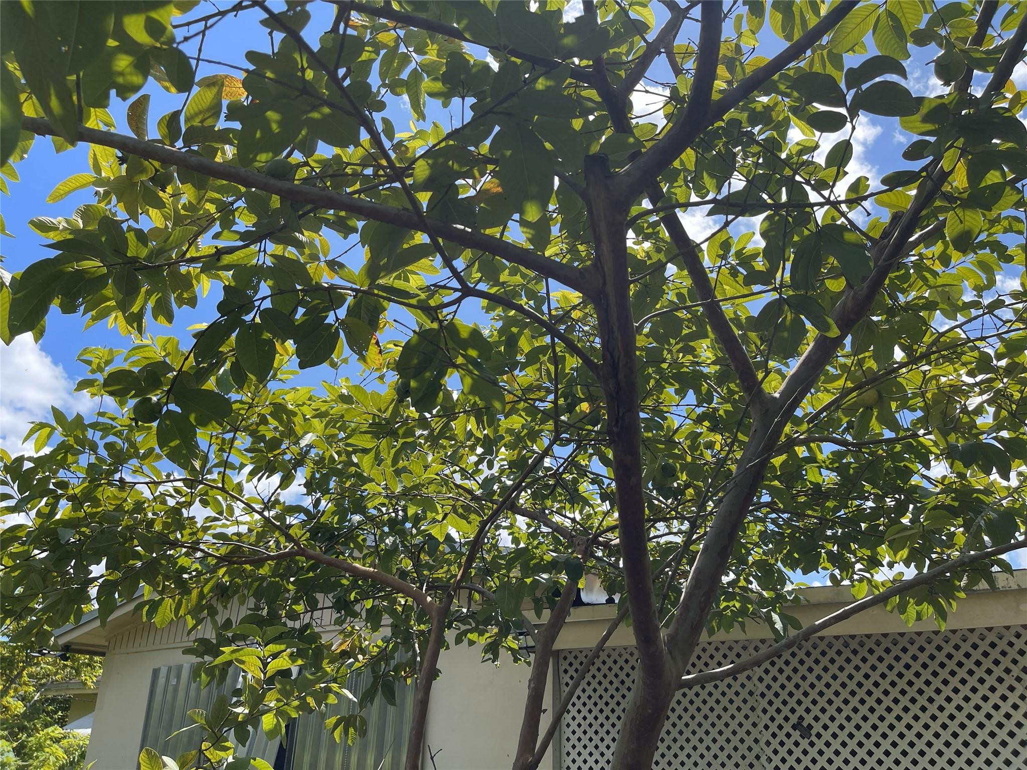 Bonnie Loch Sec 1 51-5 B - Residential