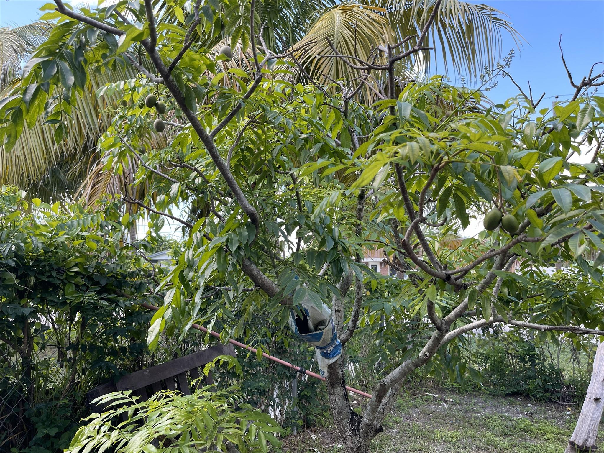 Bonnie Loch Sec 1 51-5 B - Residential