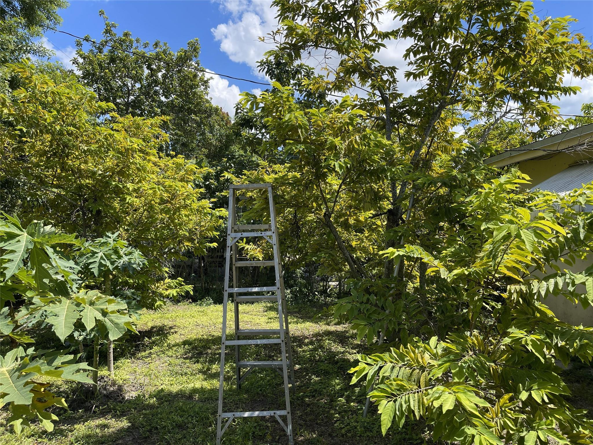 Bonnie Loch Sec 1 51-5 B - Residential