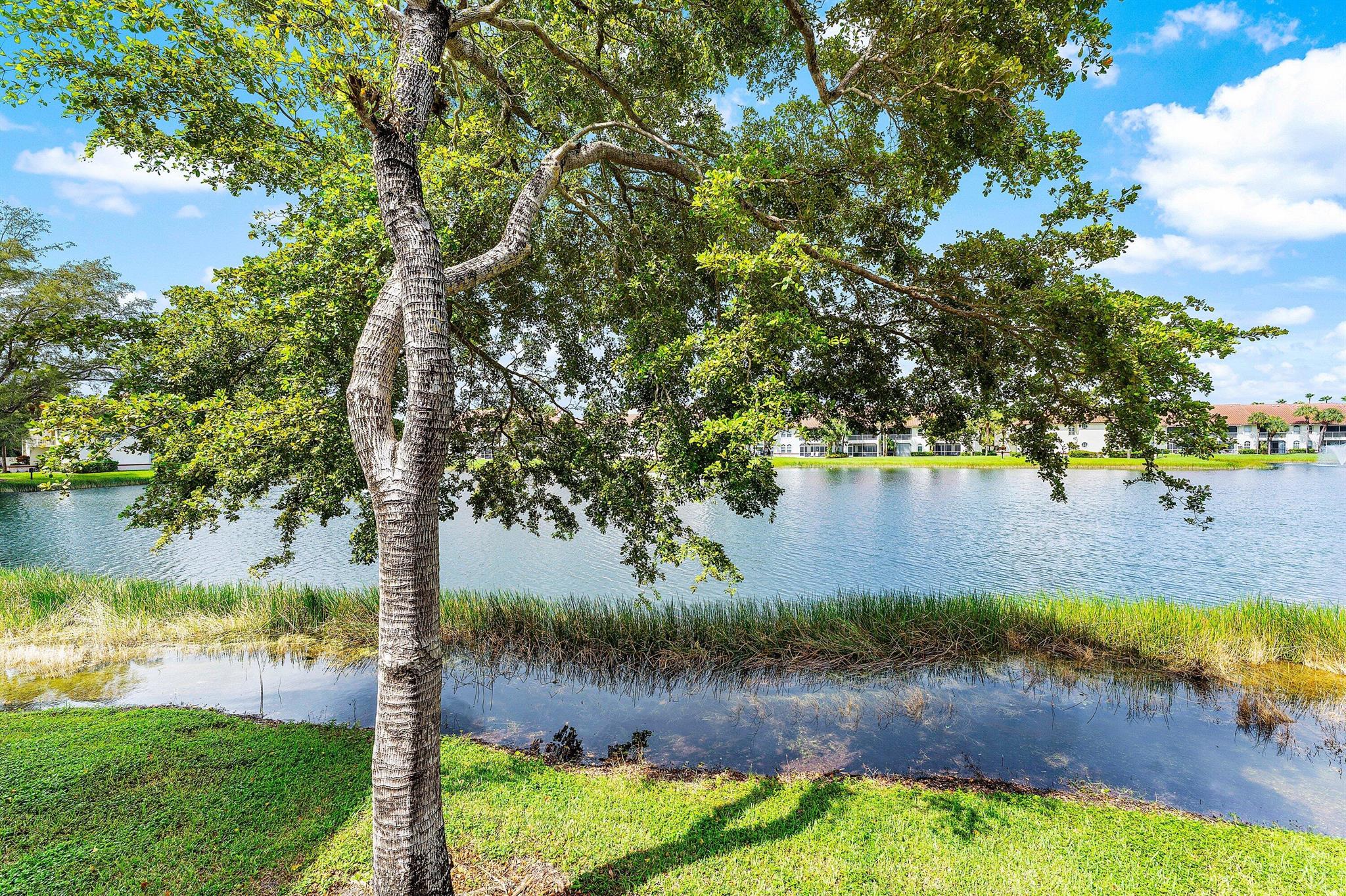 CYPRESS POINT CONDO - Residential