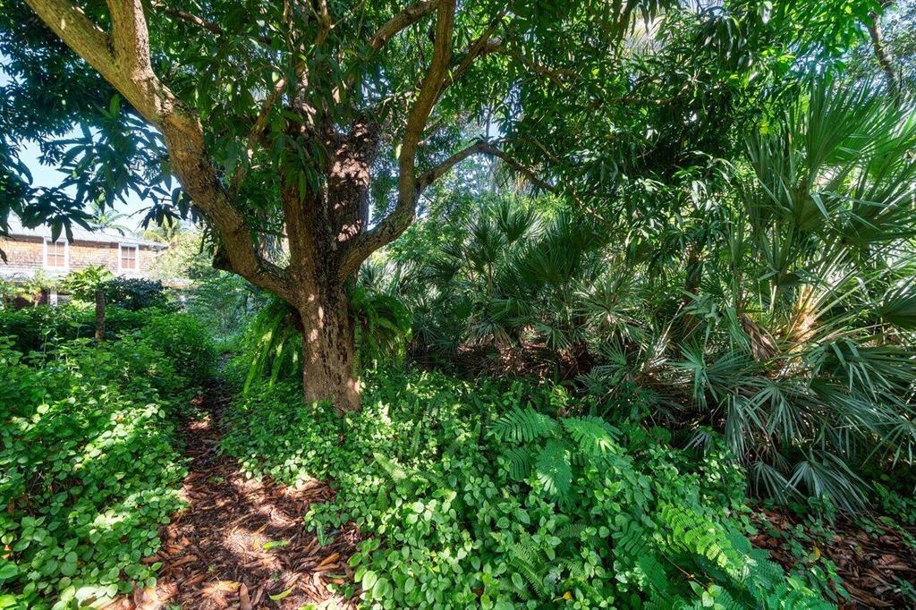 NORTH SHORE TERRACE 2 - Residential