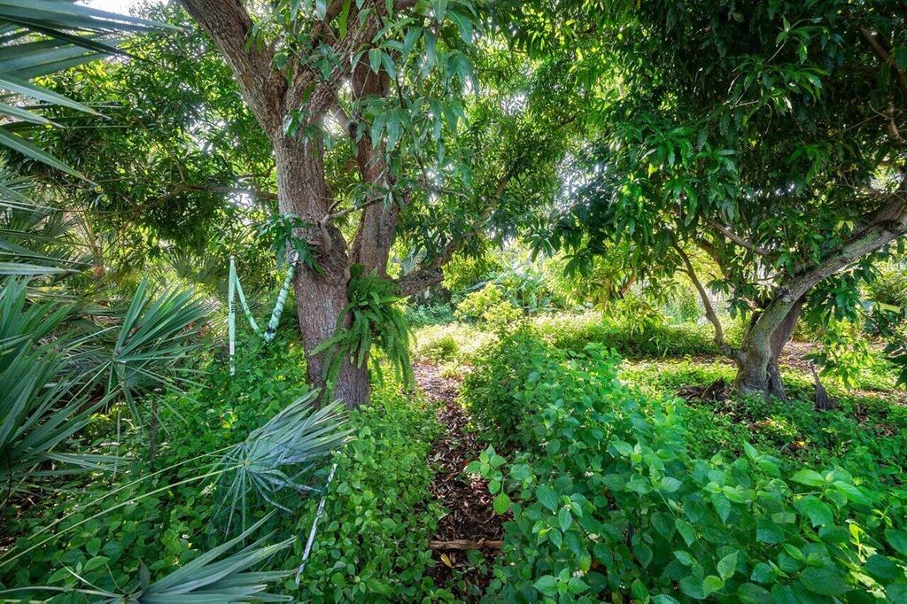 NORTH SHORE TERRACE 2 - Residential