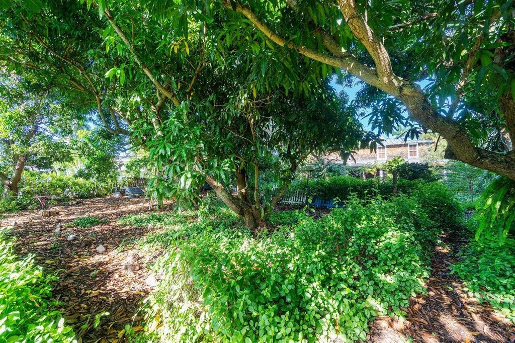 NORTH SHORE TERRACE 2 - Residential