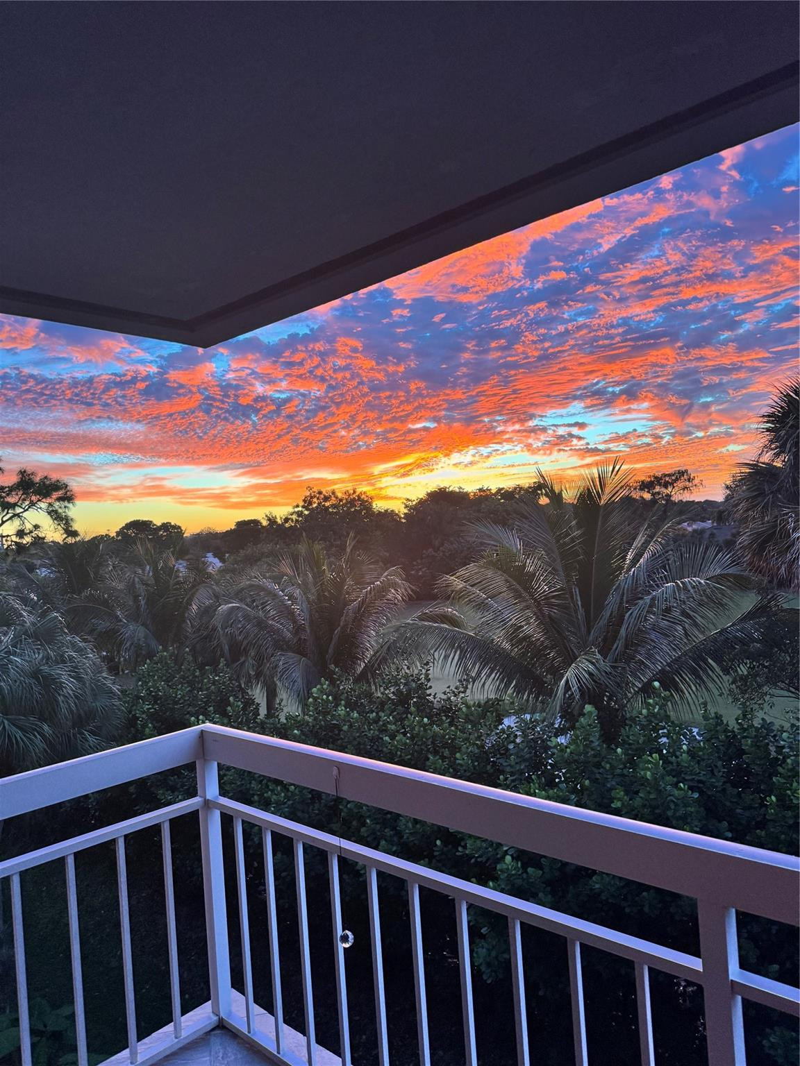 Whitehall Condo at Camino - Residential