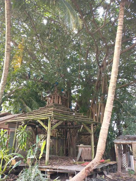 LOXAHATCHEE GROVES - Land