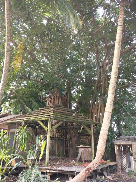 LOXAHATCHEE GROVES - Land