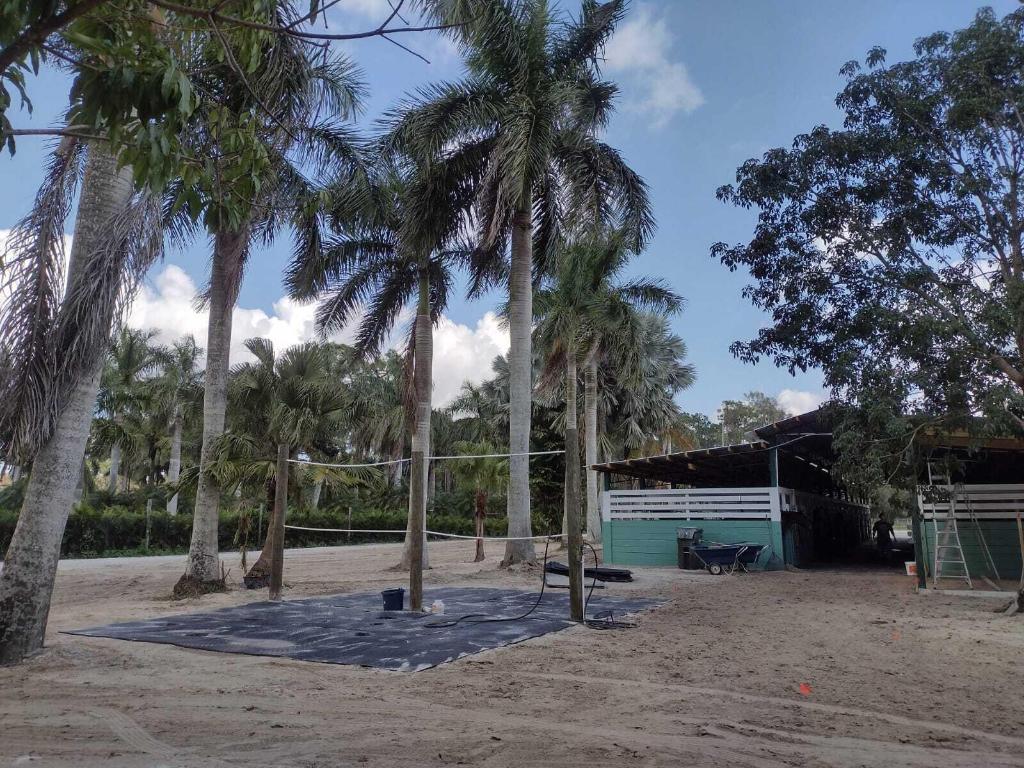 LOXAHATCHEE GROVES - Land