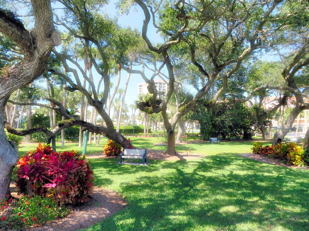 Ocean Village - Residential