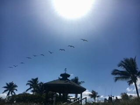 A home in Ocean Ridge