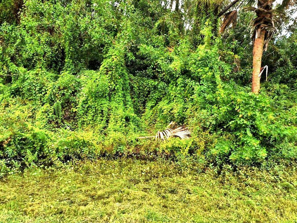 Photo of 2902 SW Fluvia Street, Port Saint Lucie, FL 34953 (MLS # R10805568)