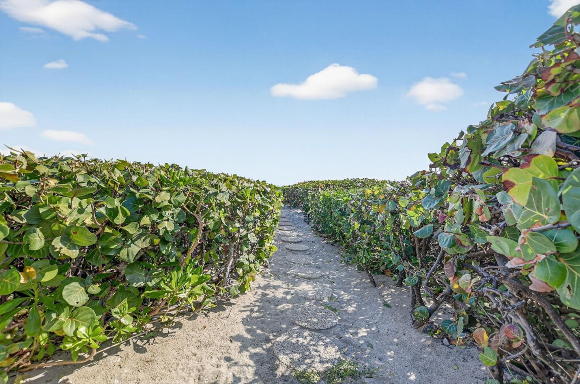 Townhomes of Highland Bea - Residential