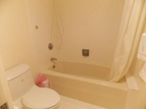 LANDS OF THE PRESIDENT CONDO 2 , - Residential Lease