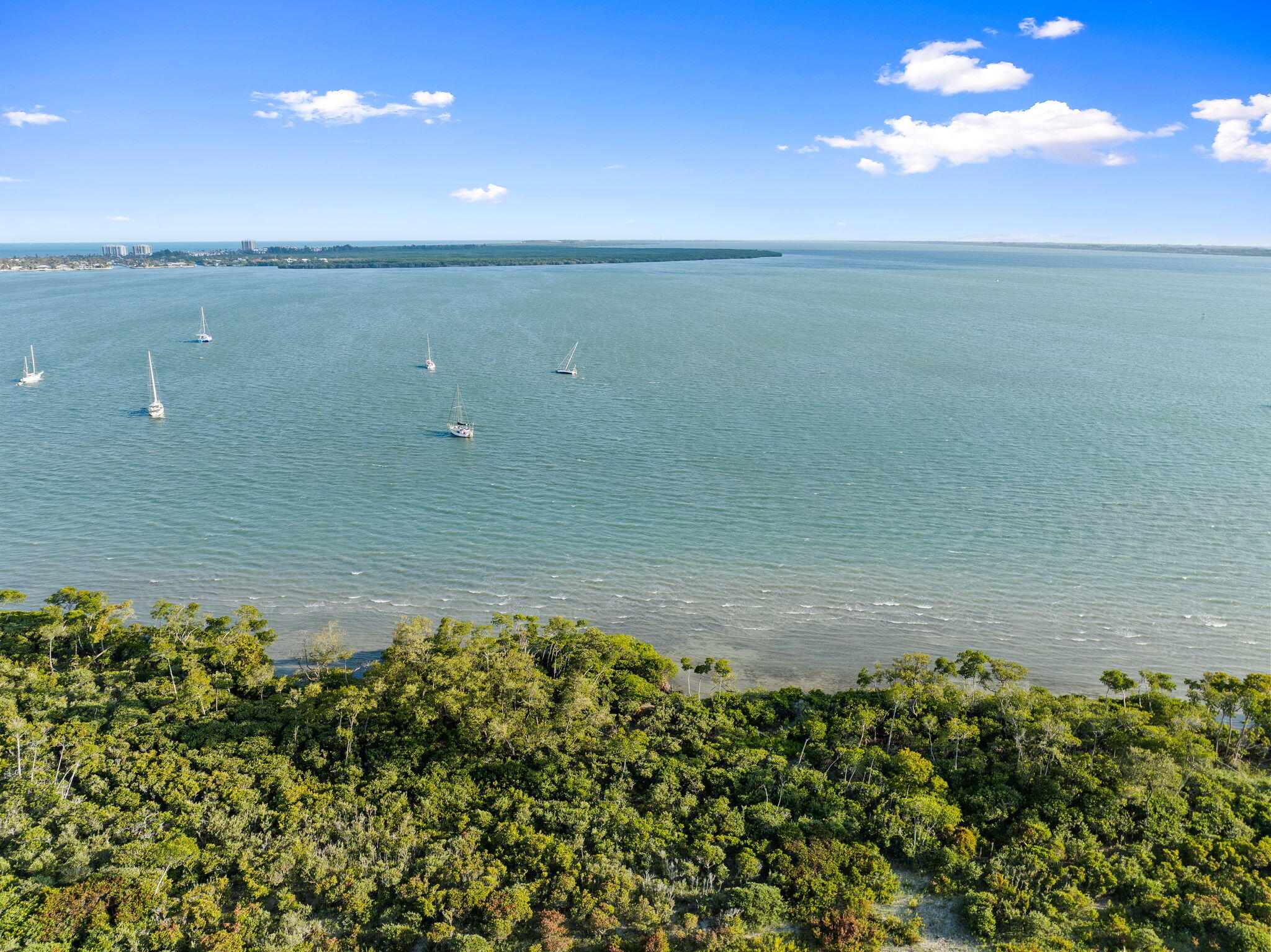 HARBOUR ISLE AT HUTCHINSON ISLAND WEST, A CONDOMIN - Residential
