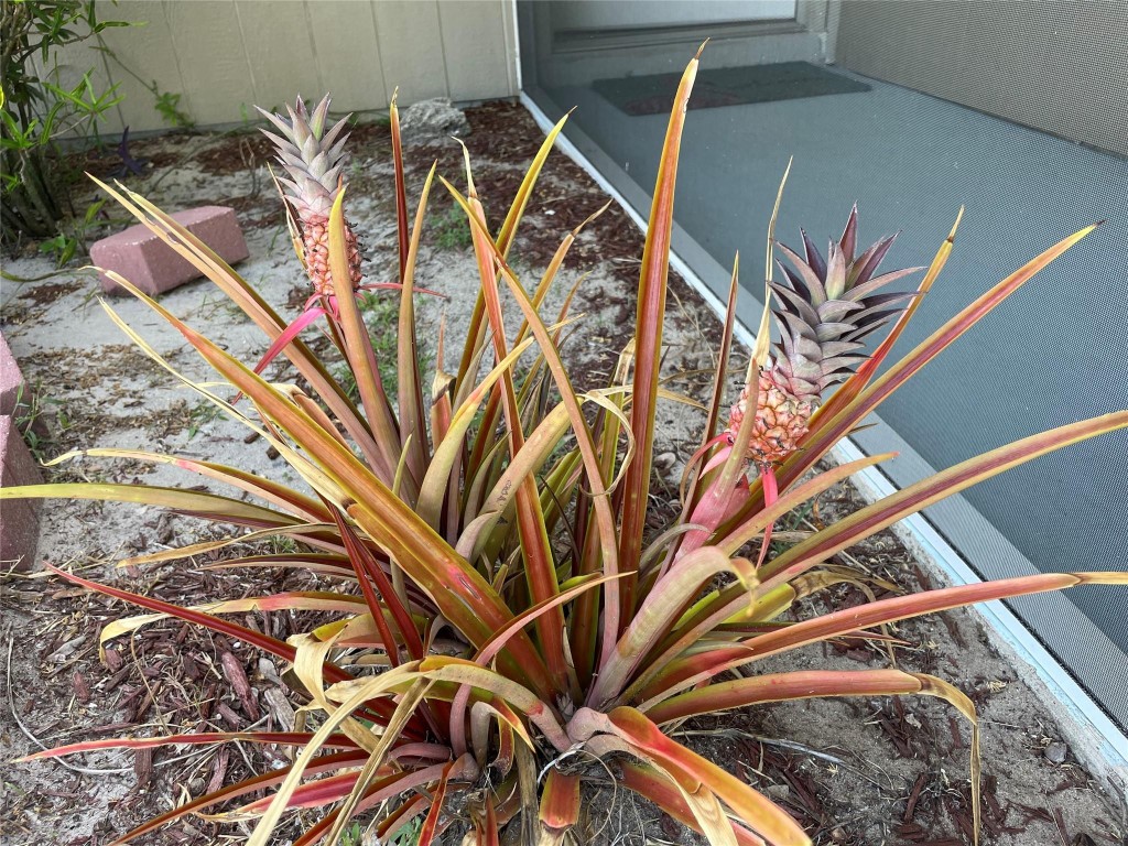 Port St Lucie Sec 04 - Residential