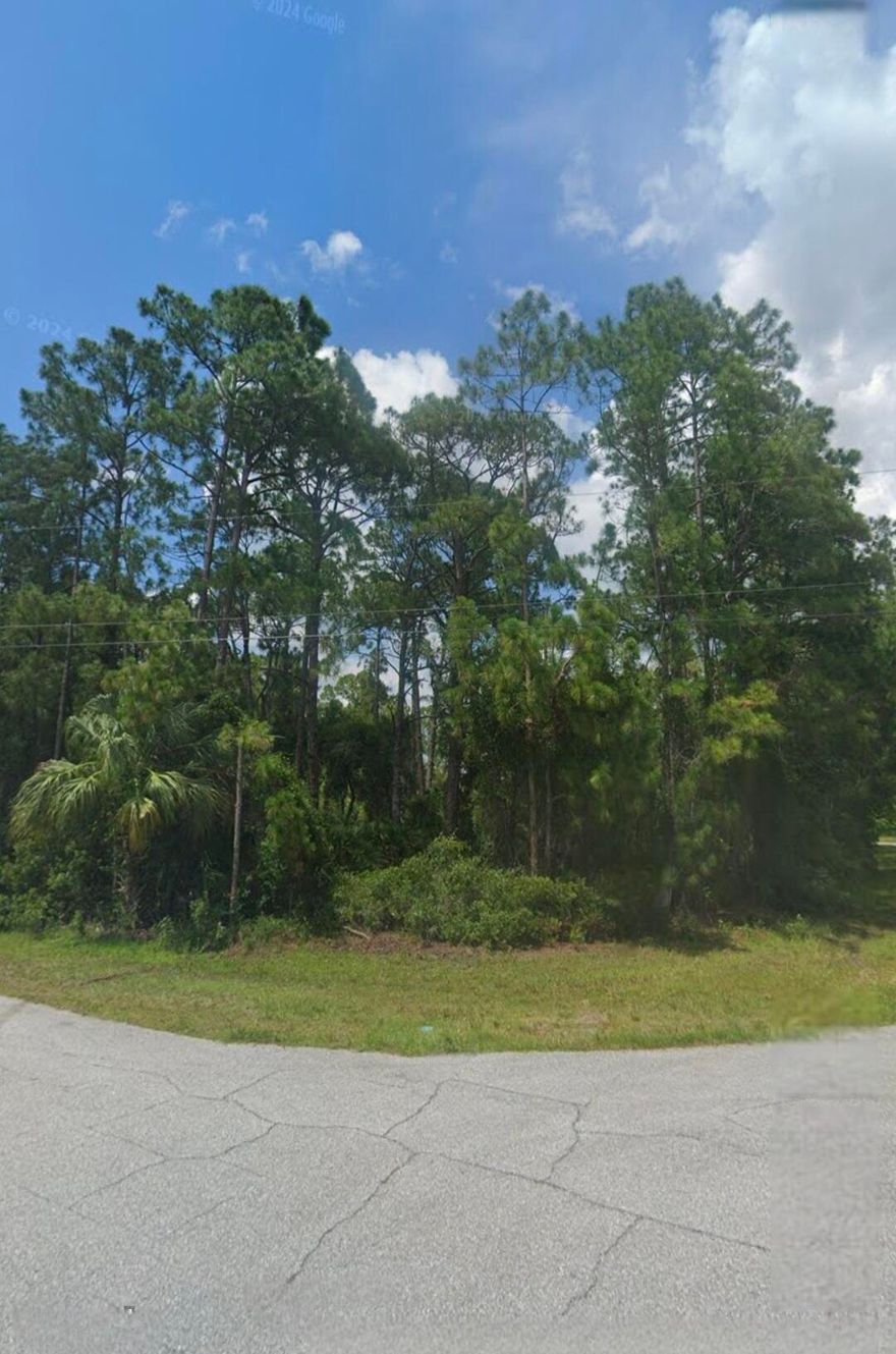 Great 110 x 125 CORNER LOT at Renault & Macco, is waiting on you to build your future home.  Homes in the neighborhood reflect ''Pride of Ownership.'' Located on Paved Roads with quick access to I-75 and I-95. Utilities: City Water & Septic. Nature lovers, this property is in close proximity to the Myakkahatchee Creek Environmental Park, a Natural area park, great for visitors & features Boardwalks, Playground, Picnic shelter, Picnic tables, Primitive campsites, Restrooms, Trails; and Activities which includes Birding, Biking and Horseback riding. Close to the new ATL Braves Stadium & Waterpark. Lot is also close to Schools and Shopping areas.