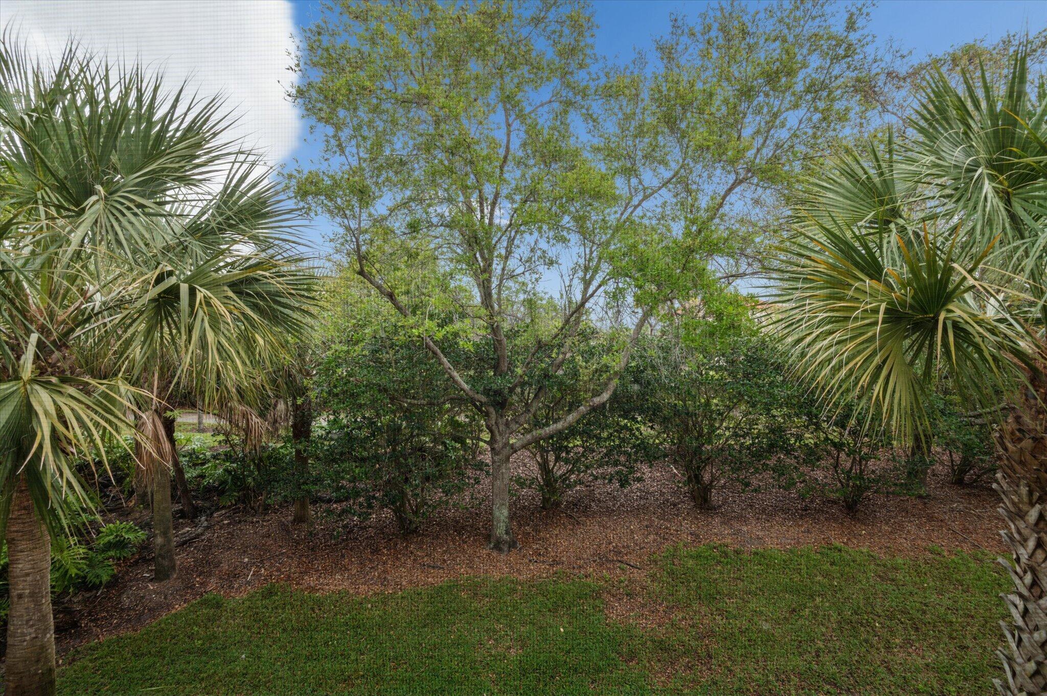 CYPRESS POINTE III AT HERON BAY - Residential