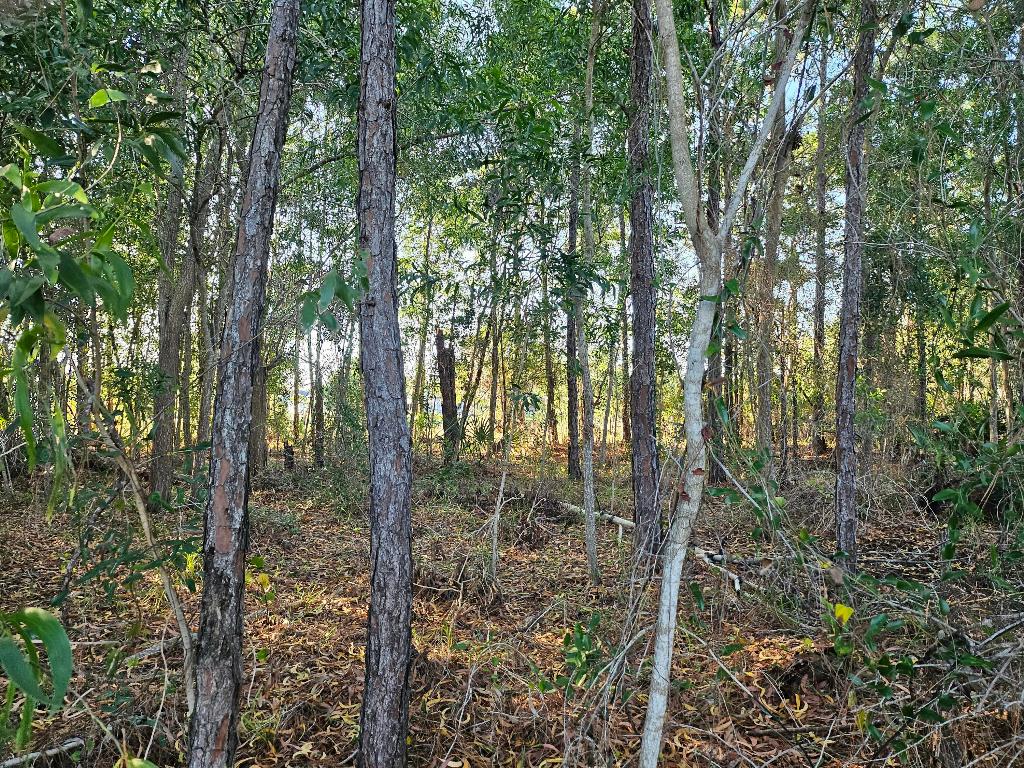 PORT ST LUCIE SECTION 47 - Land