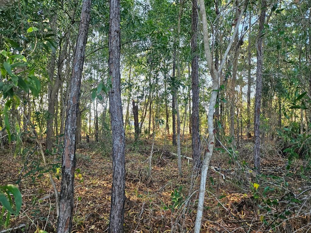 Photo of 5436 NW Briscoe Drive, Port Saint Lucie, FL 34986 (MLS # R11154814)