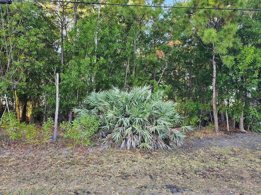 LIGHTLY TREED BEAUTIFUL BUILDING LOT IN AREA OF NEW CONSTRUCTION HOMES,VERY WELL MAINTAINED NEIGHBORHOOD!  CONVENIENTLY LOCATED CLOSE TO METS STADIUM,SHOPPING,CHURCHES AND SCHOOLS! MAKE AN OFFER, BUILD YOUR DREAM HOME NOW!
