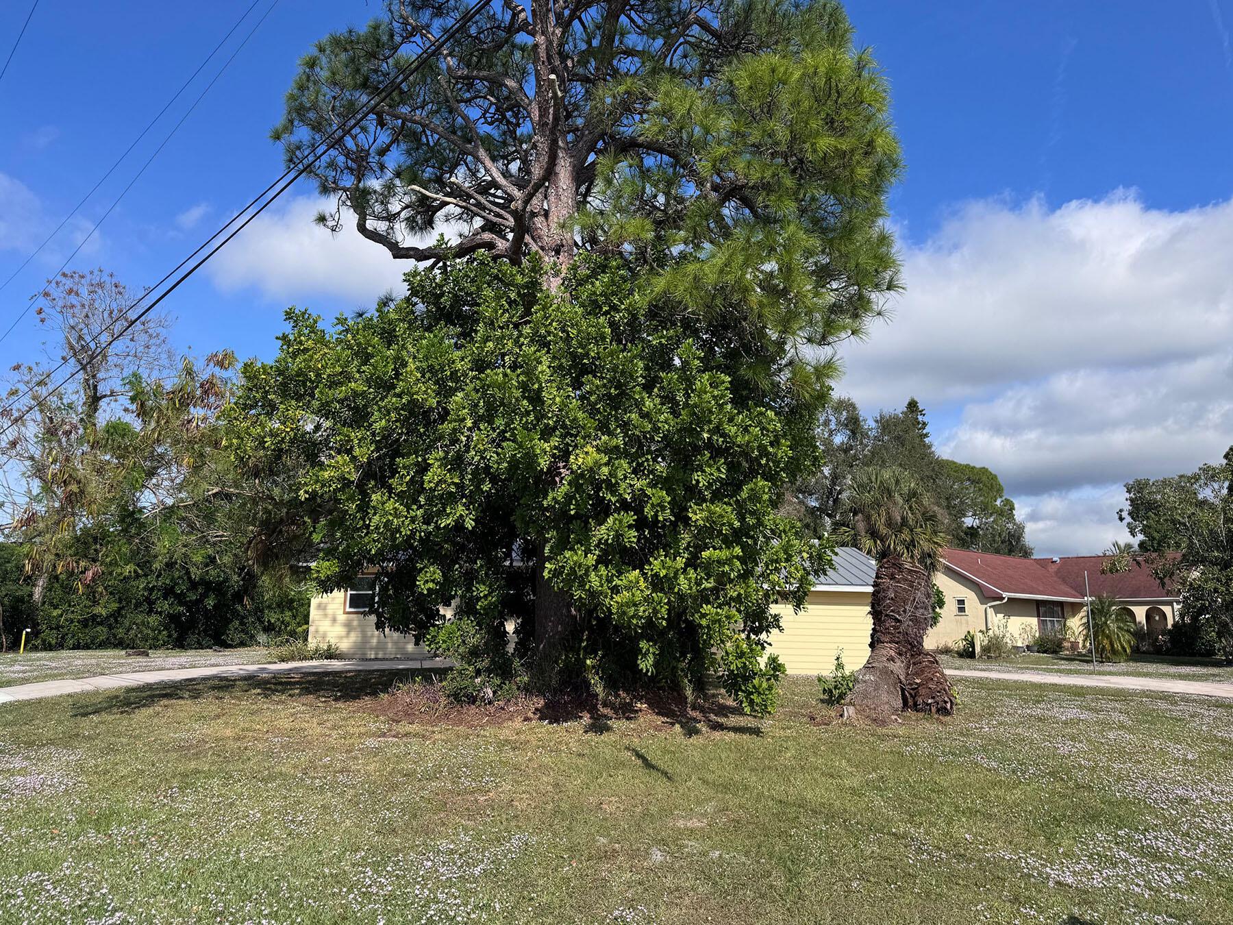 RIVER PARK - Residential