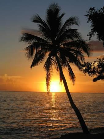 Victoria Park Tower Condo - Residential