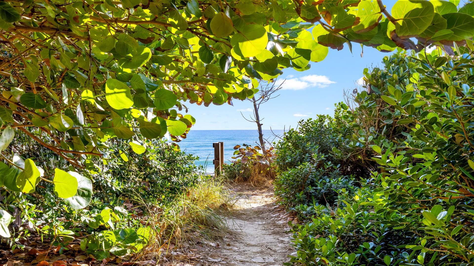 PELICAN COVE - Residential