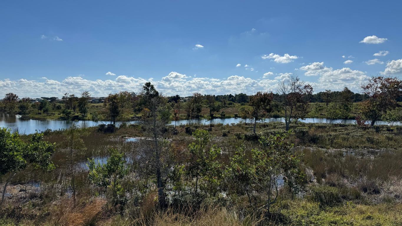 METES AND BOUNDS - Land