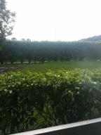 EDGEWOOD CONDO - Residential