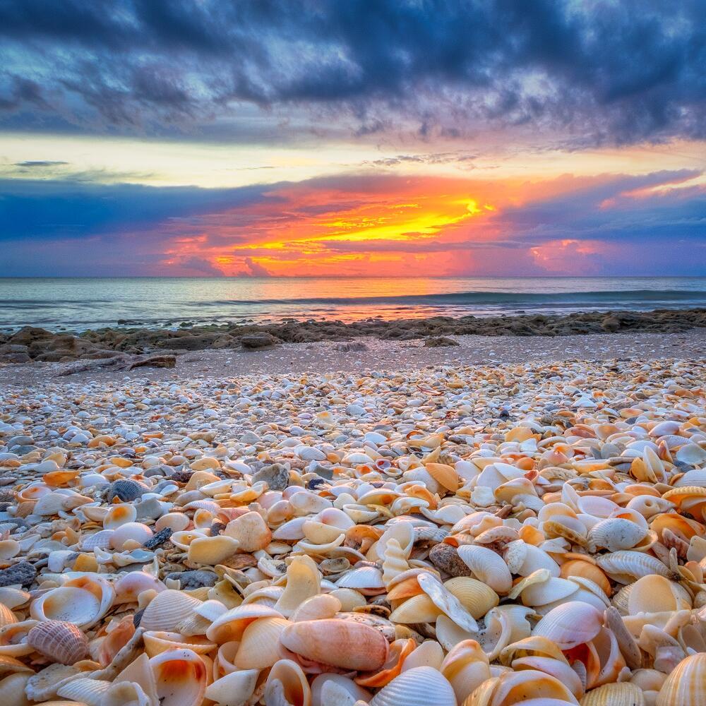 Seaview at Juno Beach - Residential