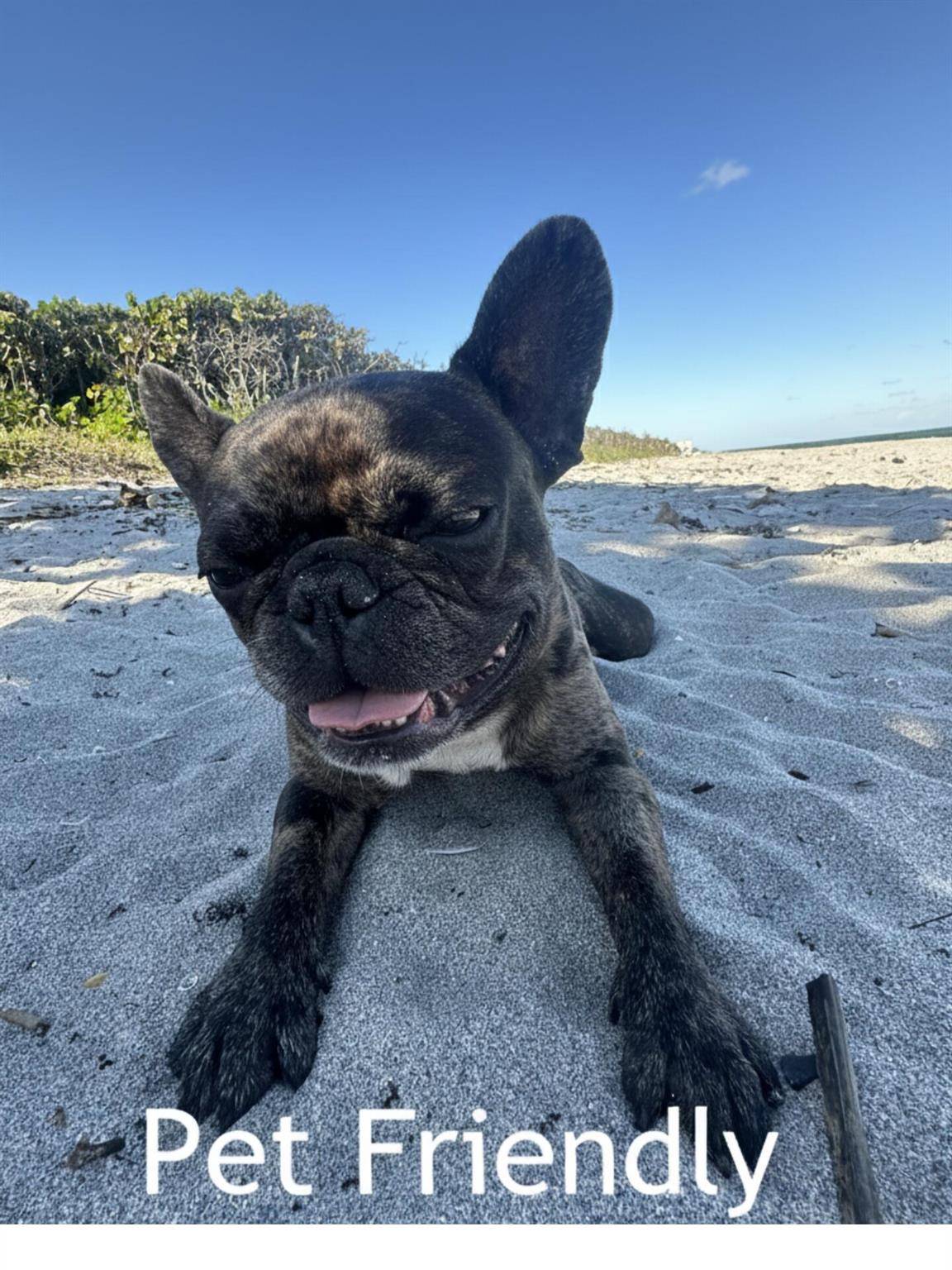 Seaview at Juno Beach - Residential