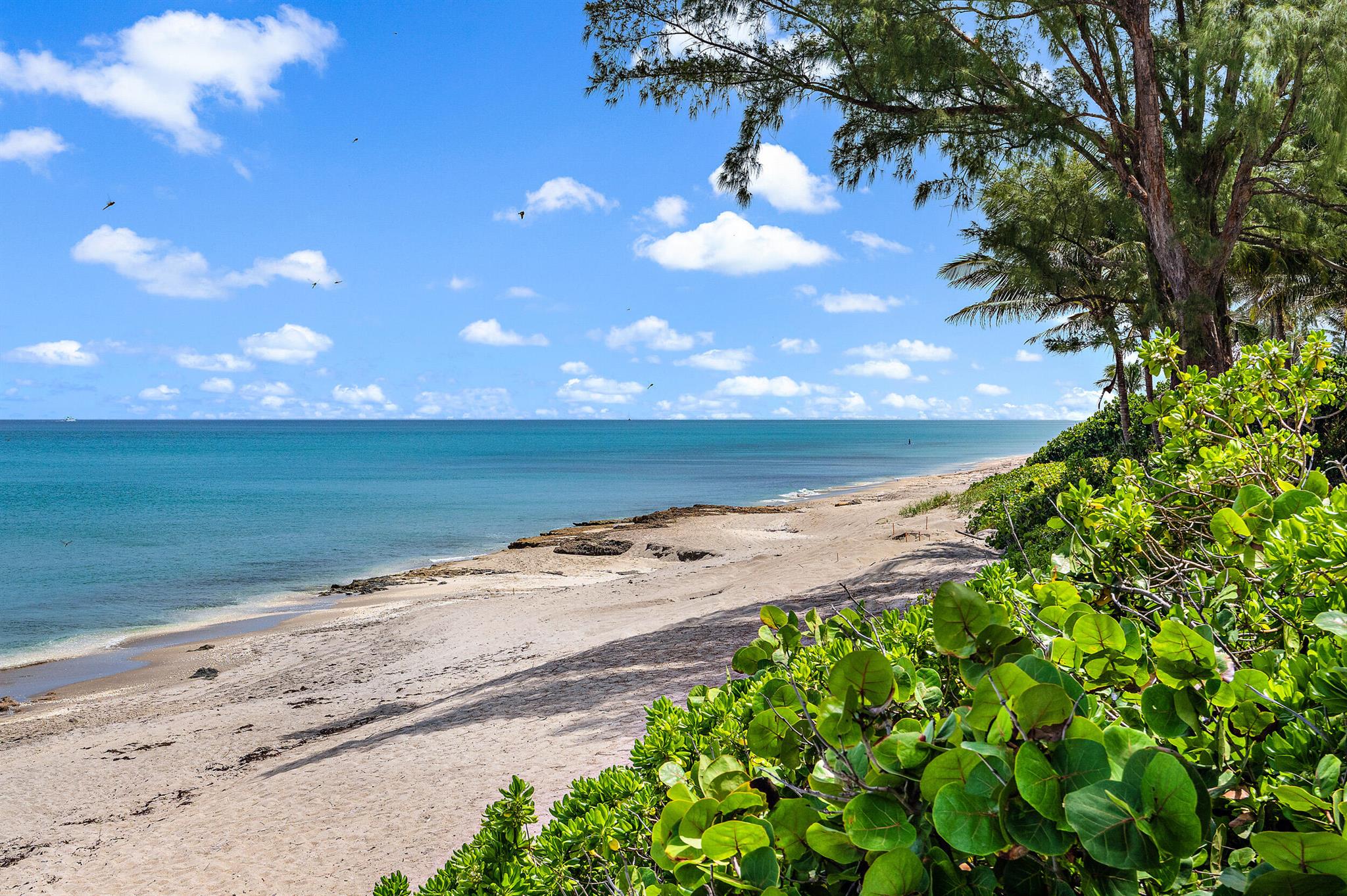 Seaview at Juno Beach - Residential
